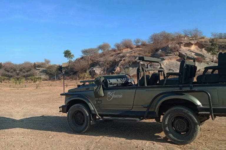 Jawai Jeep Safari